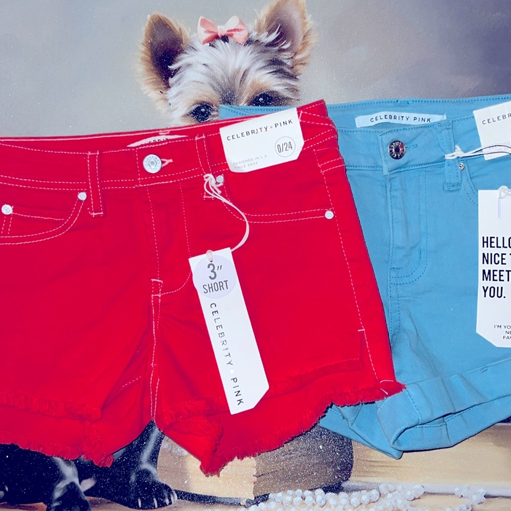 $15 sale for Two Celebrity Pink Shorts sizes 0 or 5